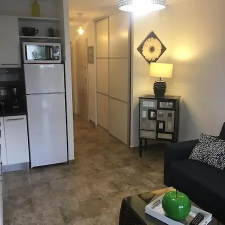 Apartman T2 Classe Avec Garage Centre Et A 300 M ,clim Wifi