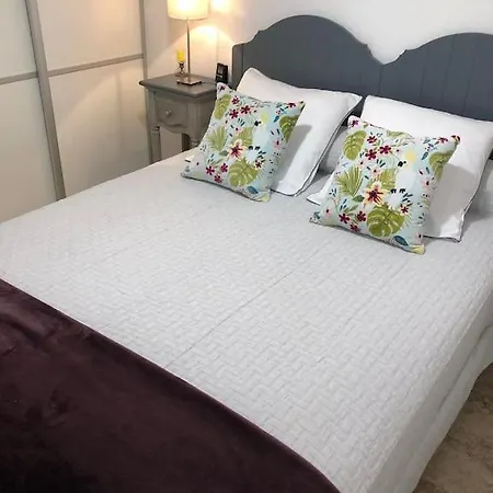 T2 Classe Avec Garage Centre Et A 300 M ,clim Wifi *