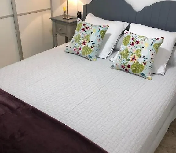 T2 Classe Avec Garage Centre Et A 300 M ,clim Wifi *